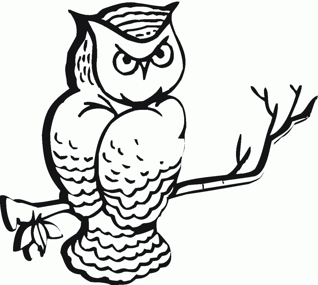 Owl Coloring Pages Photos