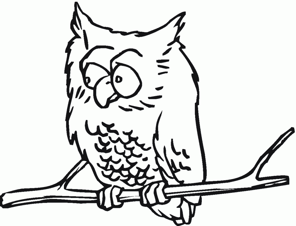 Pages de coloriage sur le hibou