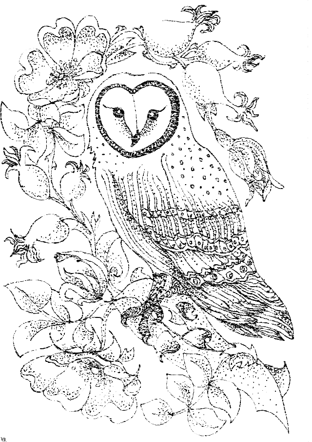 Owl Coloring Pages To Print