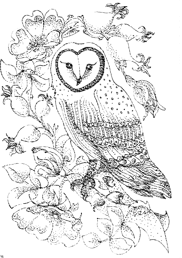 Pages de coloriage sur le hibou To Print