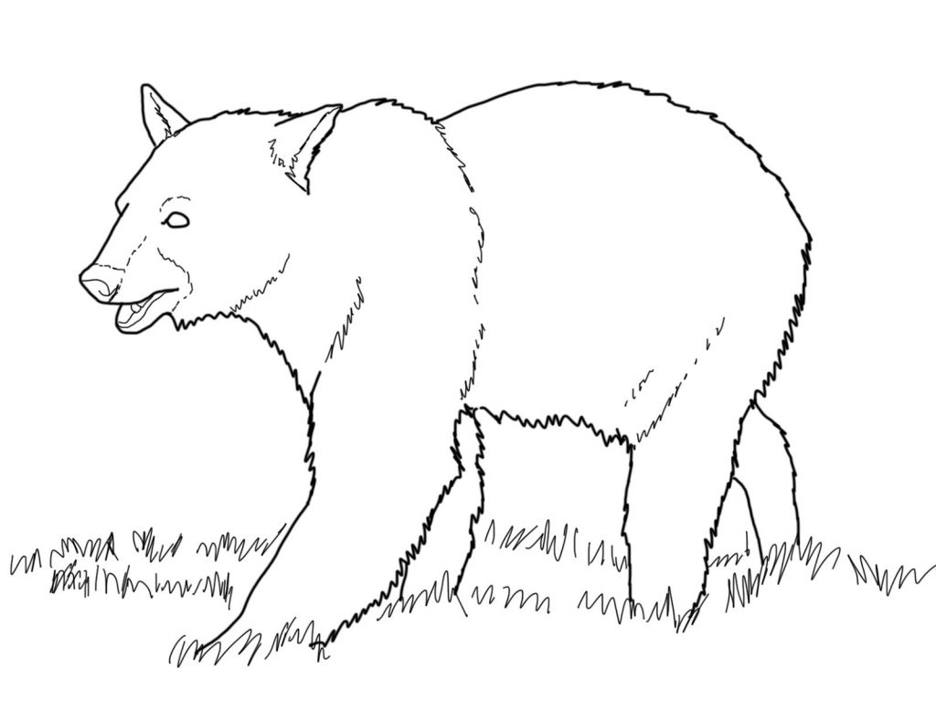 Panda Bear Coloring Page