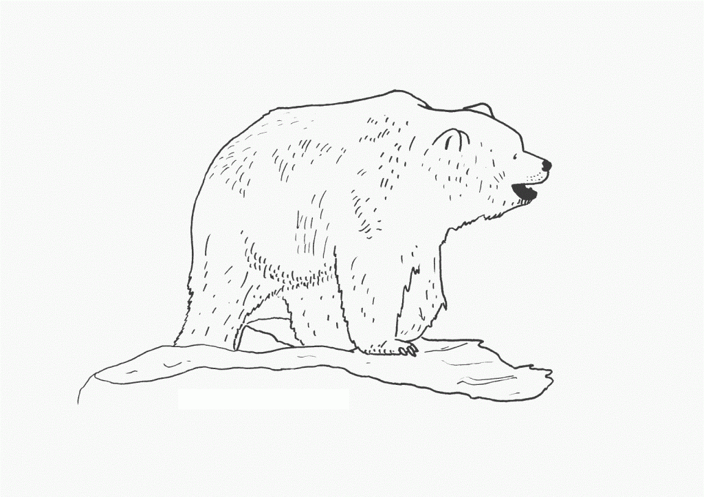 Panda Bear Coloring Pages