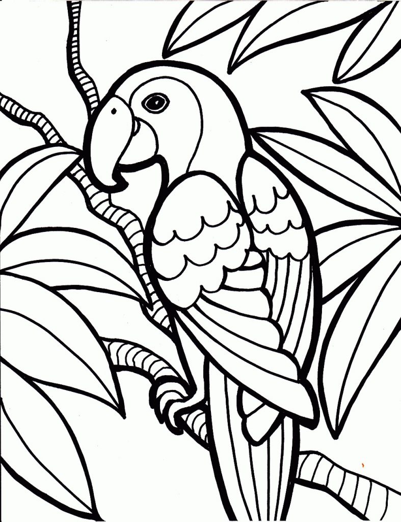 Parrot Birds Coloring Page