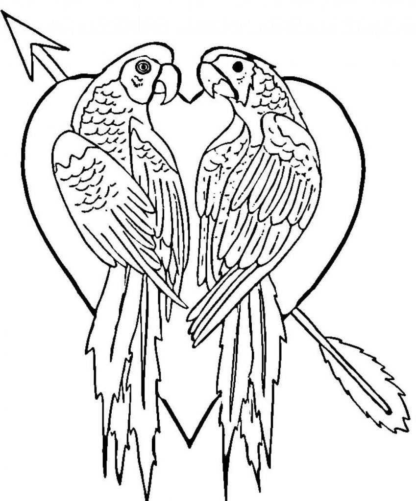 Parrot Coloring Pages Free For Kids