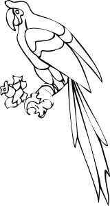 Free Printable Parrot Coloring Pages For Kids