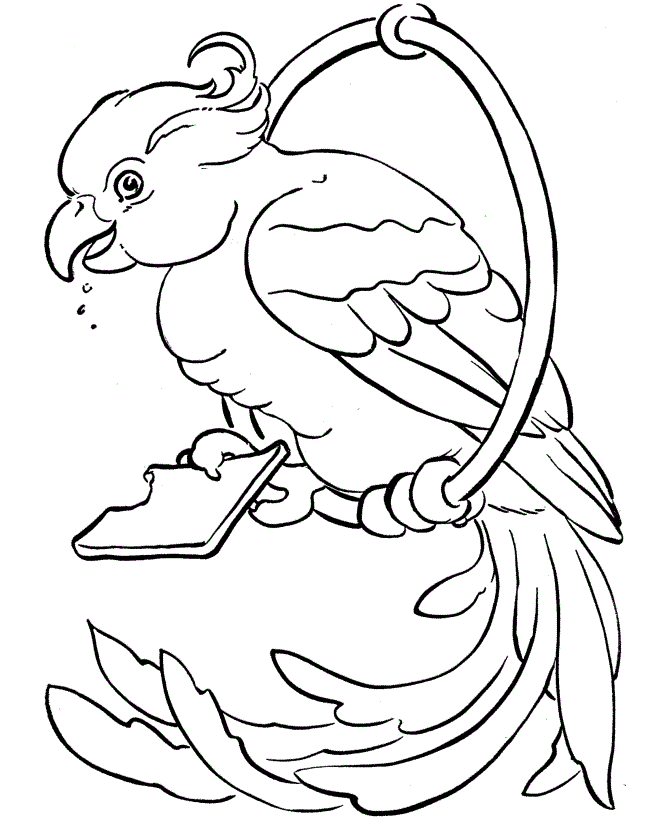 Parrot Coloring Pages Pictures