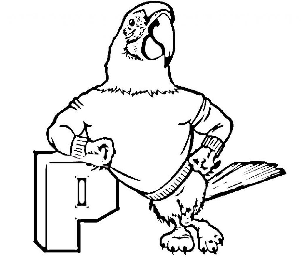 Parrot Picture Coloring Pages