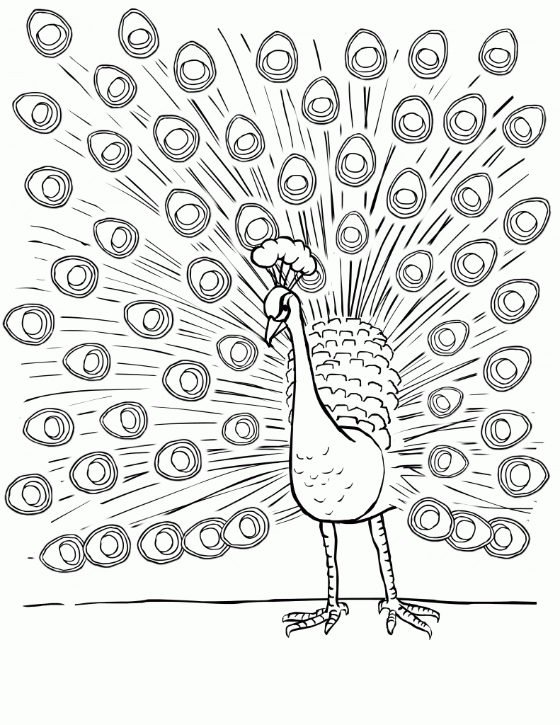 Peacock Coloring Pages For Kids