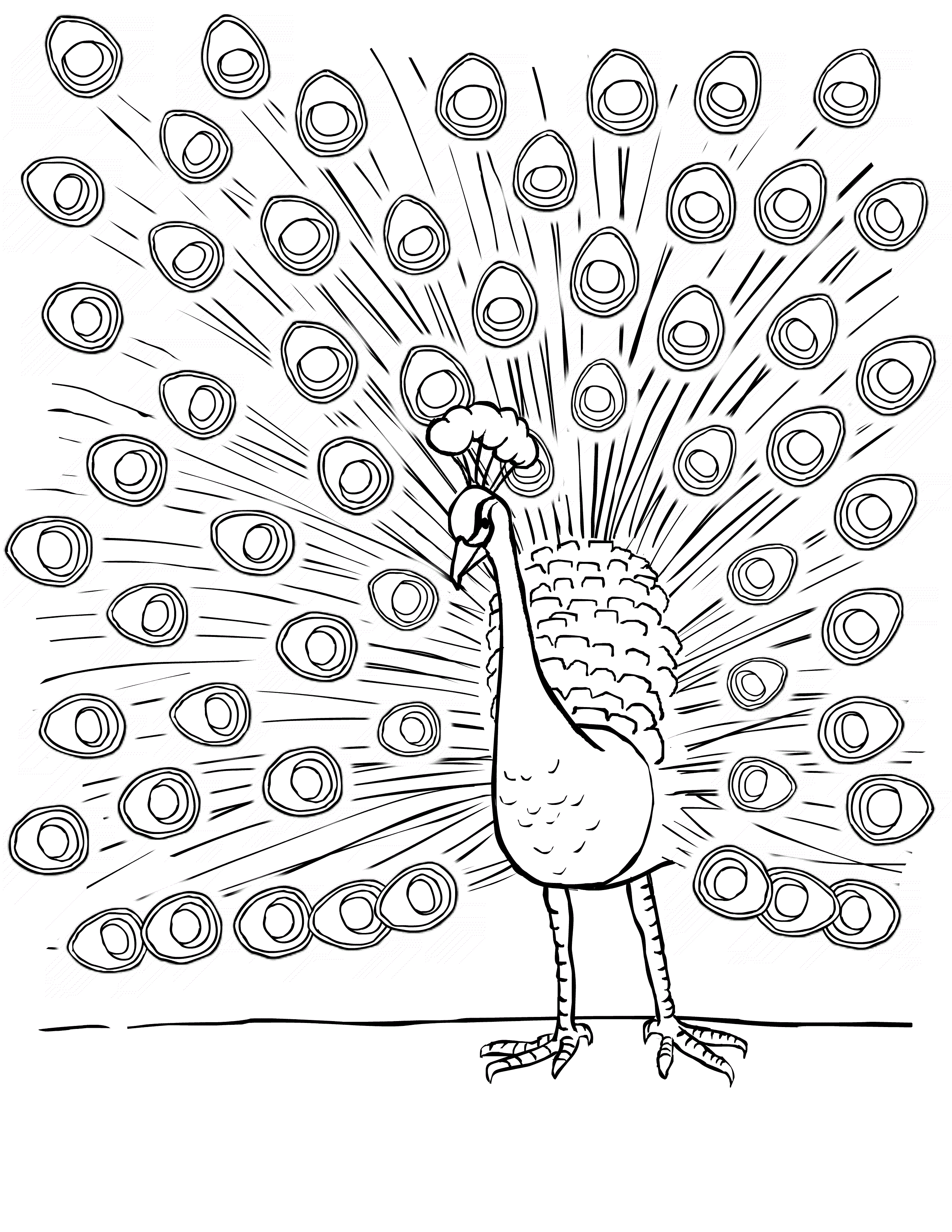 peacock coloring pages