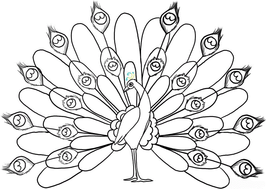 free-printable-peacock-coloring-pages-for-kids