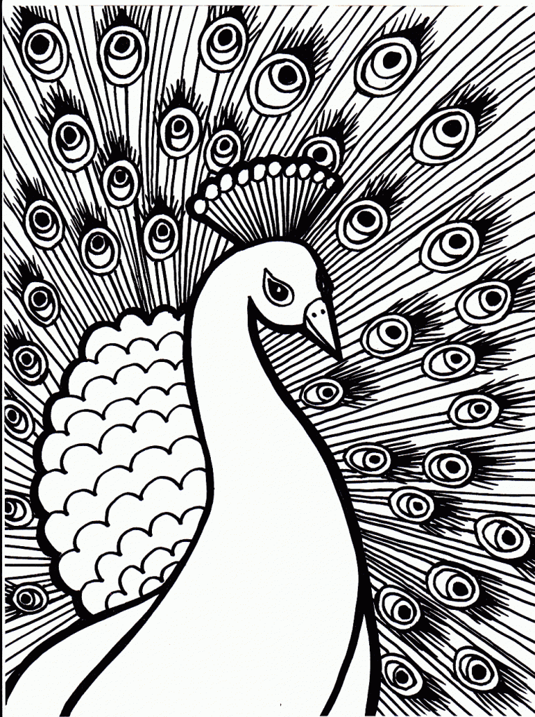 Peacock Coloring Pages Images