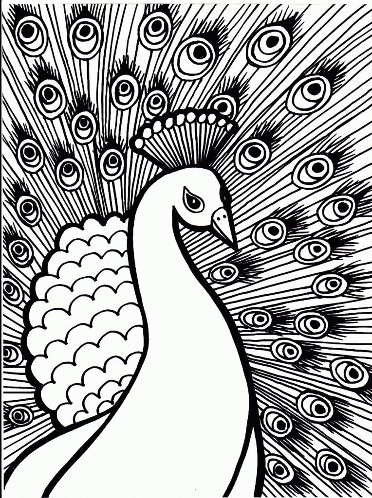 Download Free Printable Peacock Coloring Pages For Kids