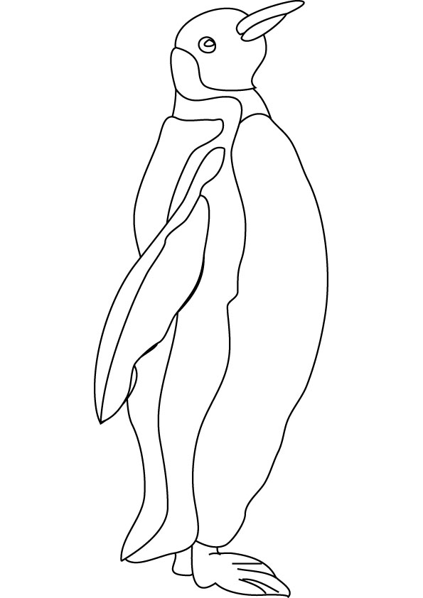 Penguins Coloring Pages For Kids Printable