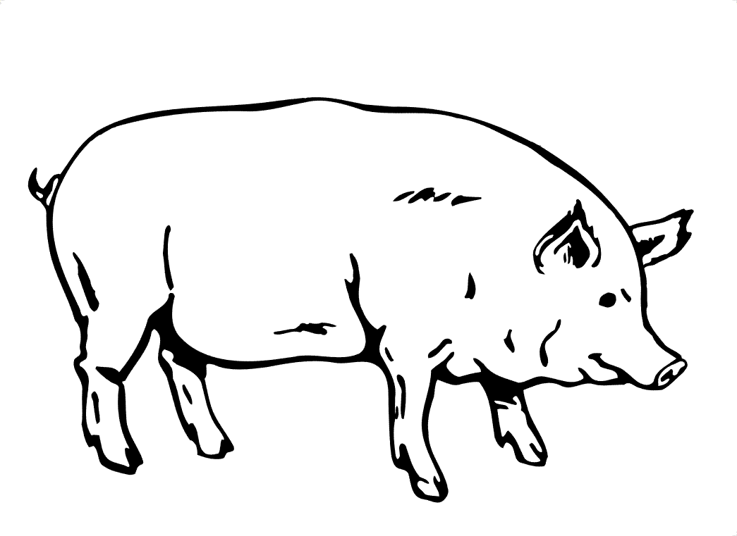 pig coloring pages