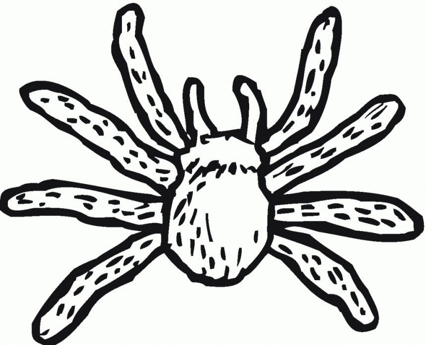 spooky-coloring-pages-spiders-free-printable-coloring-pages