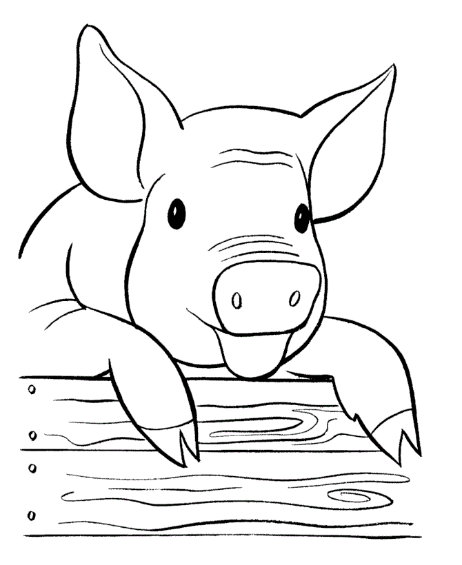 Pigs Coloring Pages Printable