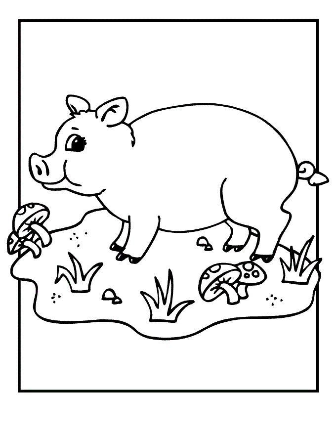 Pig Coloring Pages For Kids