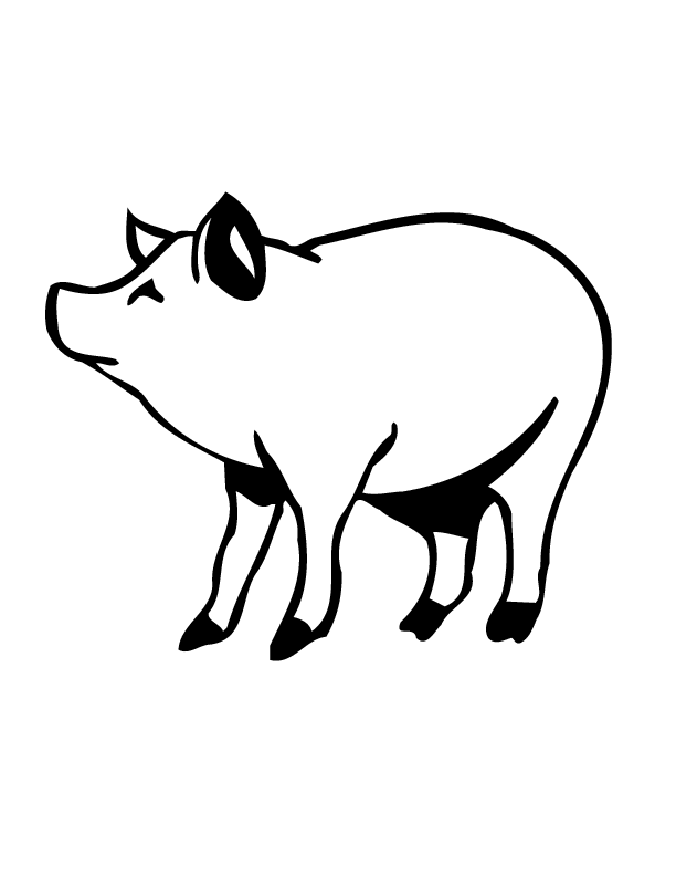 Pig Coloring Pages Images