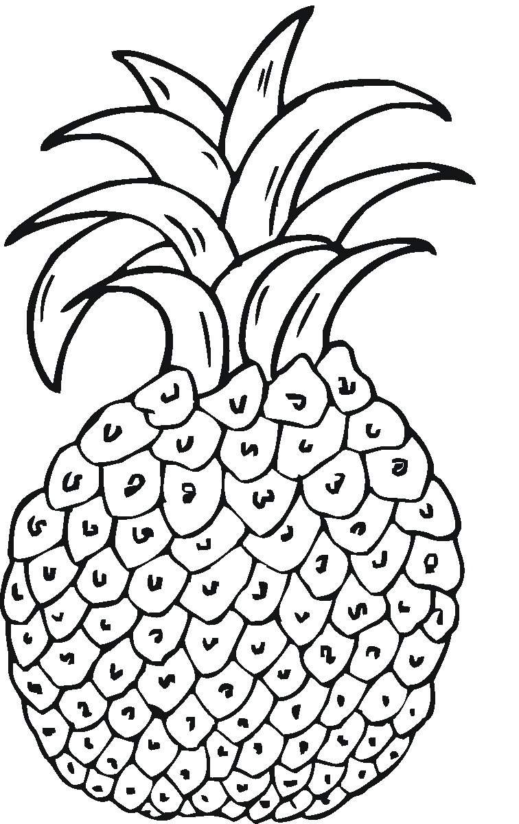 Pineapple Fruit Coloring Page