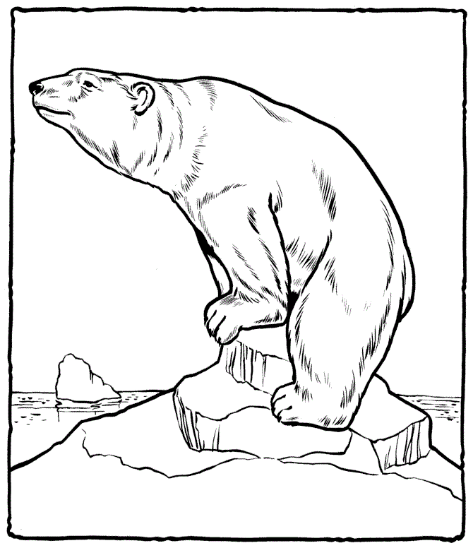 free-printable-polar-bear-coloring-pages-for-kids