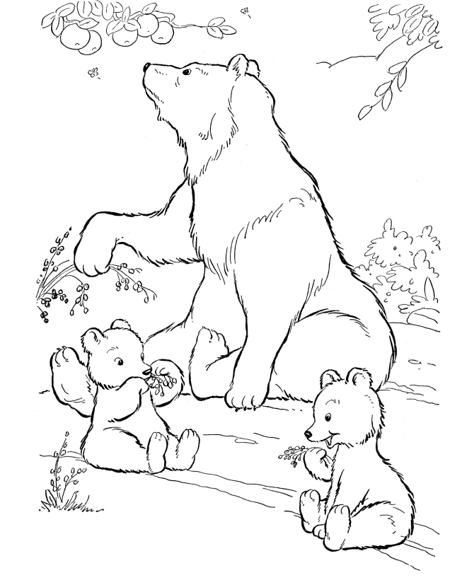 Polar Bear Coloring Pages Free For Kids