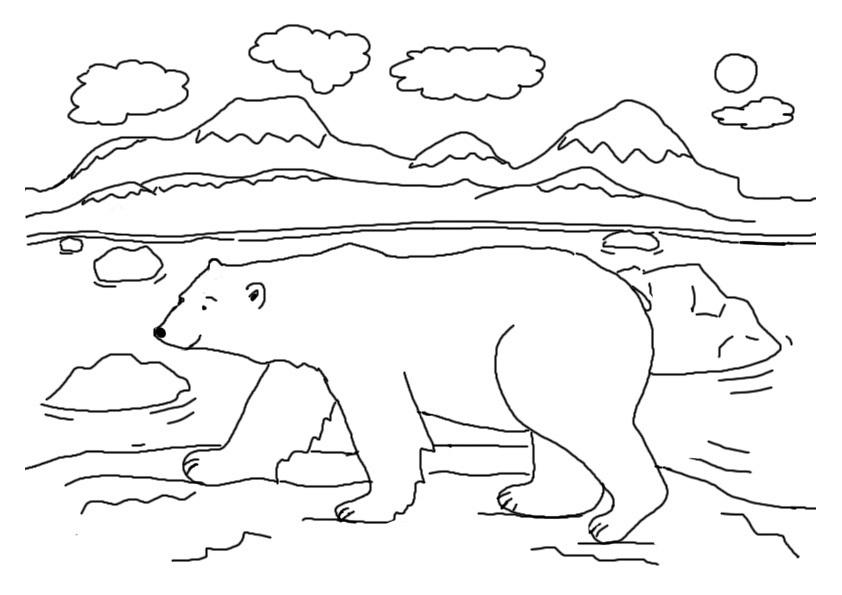 Polar Bear Coloring Pages Photos