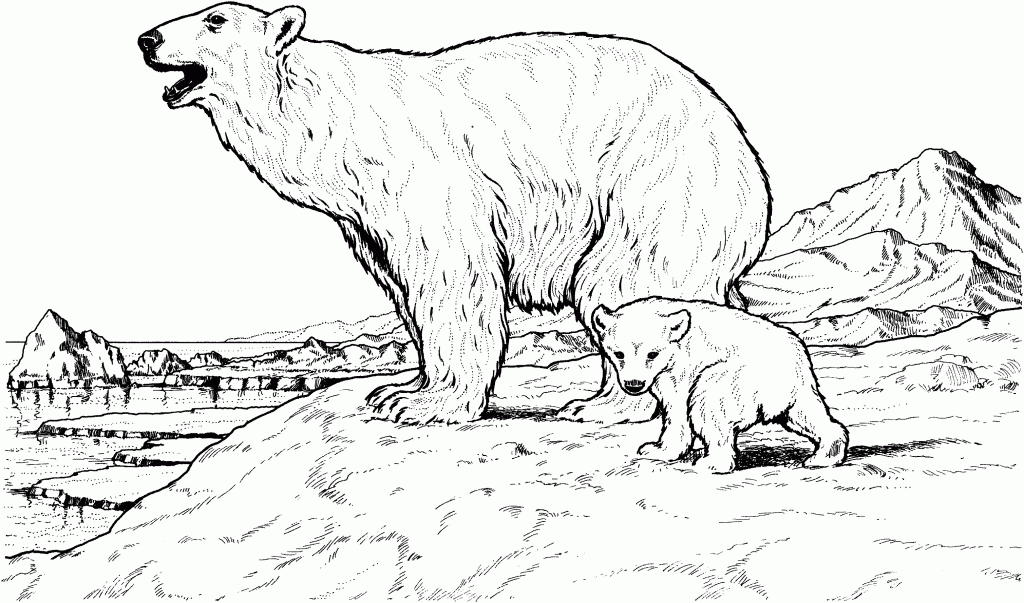 Polar Bear Mother and Baby Coloring Pages