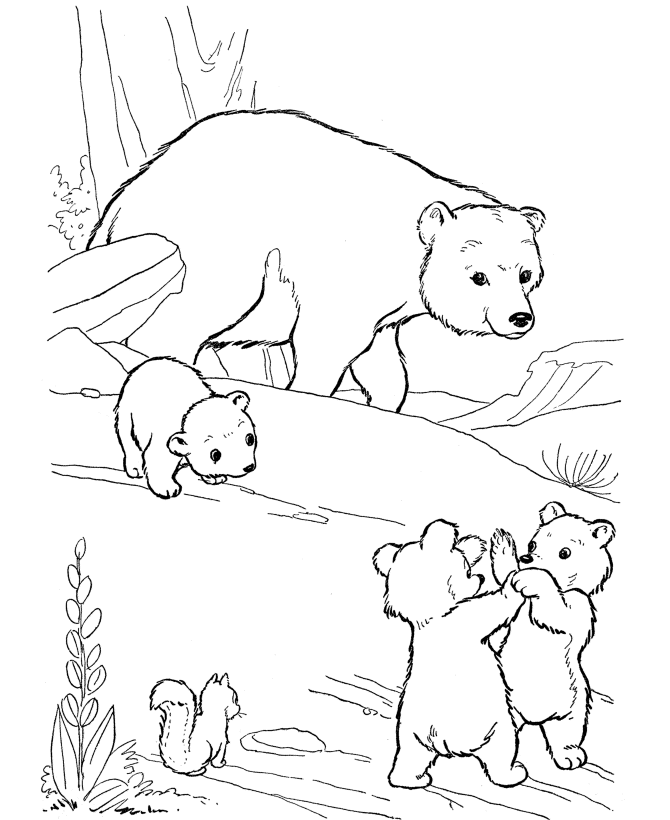 52 Coloring Pages For Bears Images & Pictures In HD