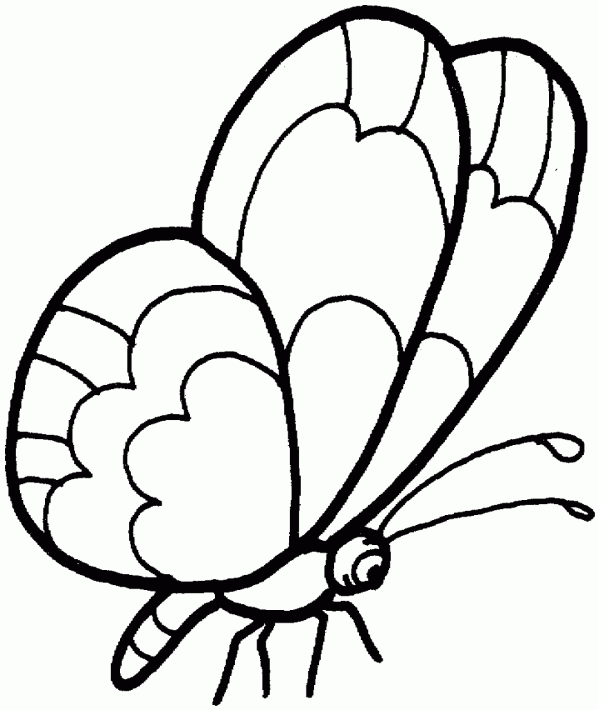 Pretty Butterfly Coloring Pages