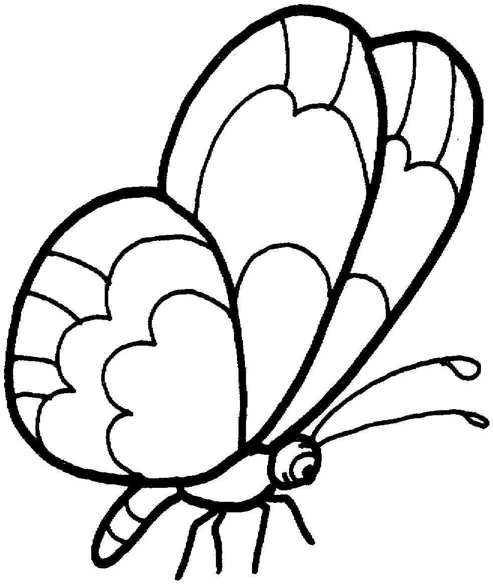 Free Printable Butterfly Coloring Pages For Kids