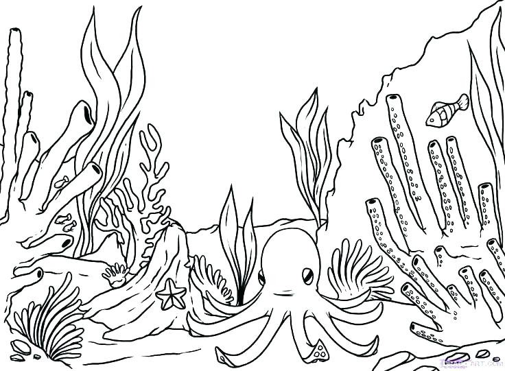 free sea plants coloring pages