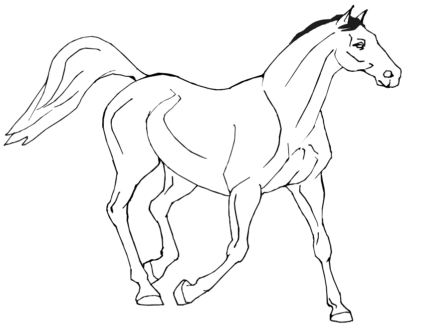 Princess Horse Coloring Pages