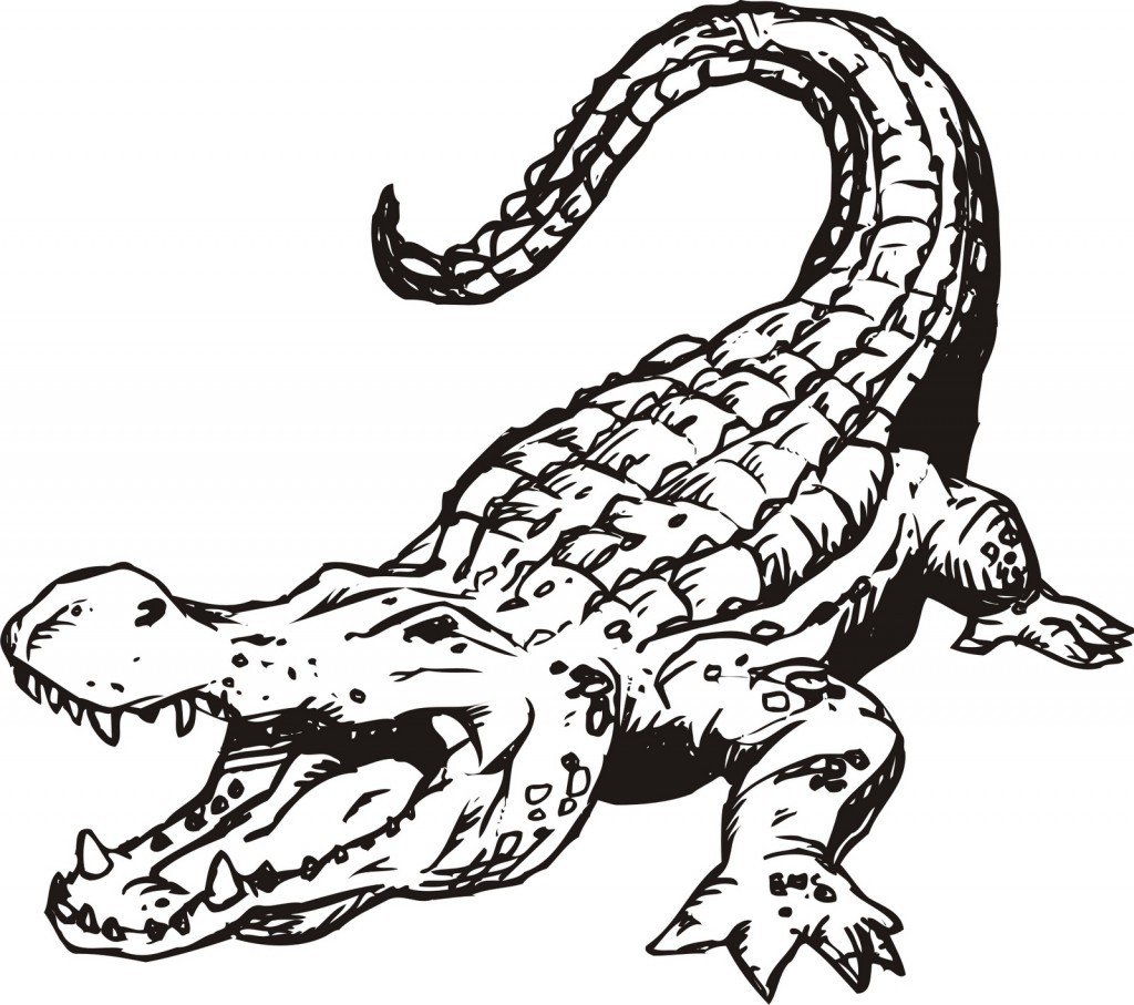 Printable Alligator Coloring Pages Image