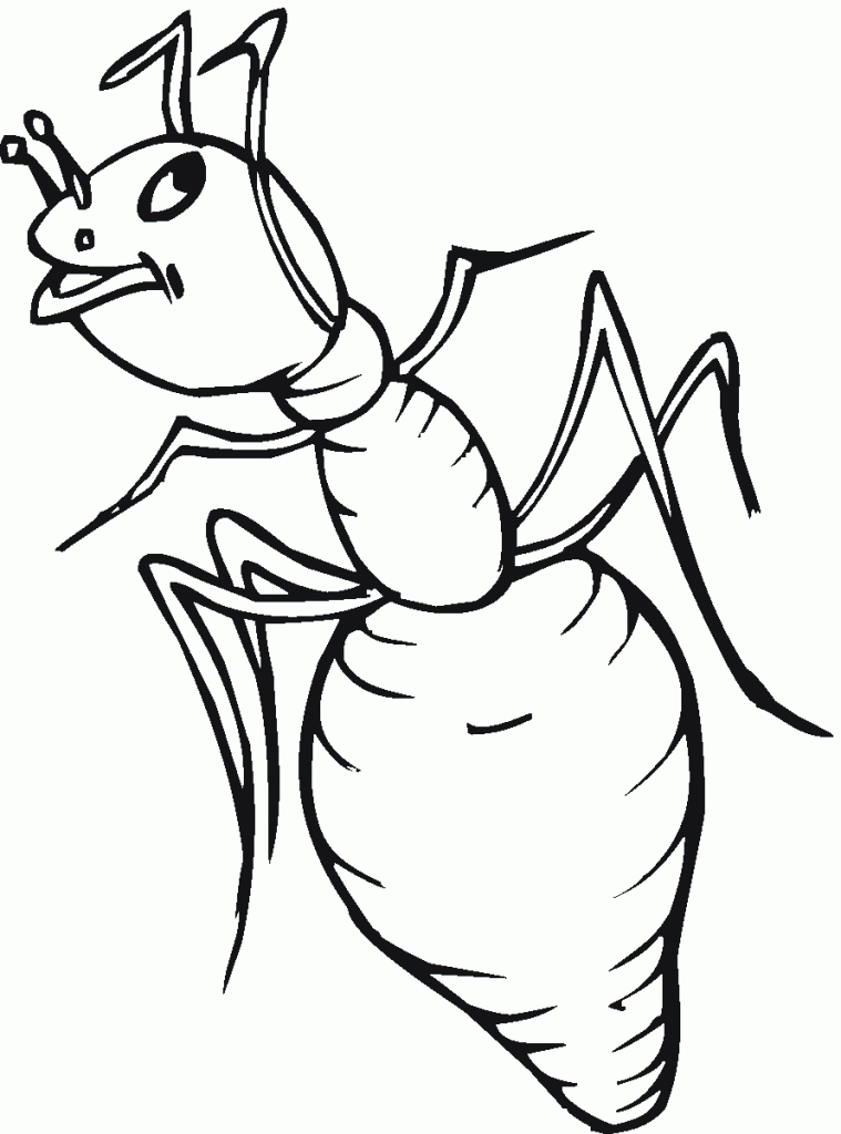 Printable Ant Coloring Pages