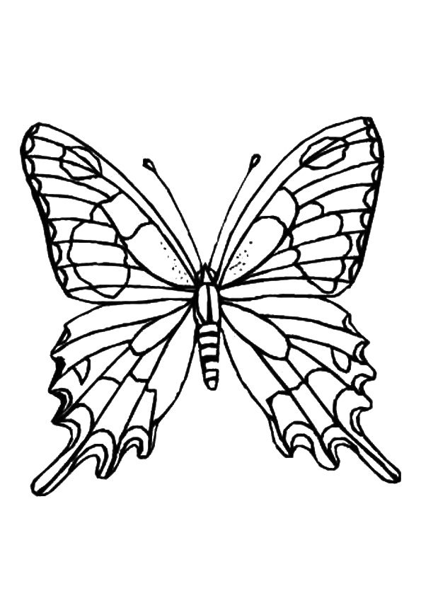 Printable Butterfly Coloring Pages