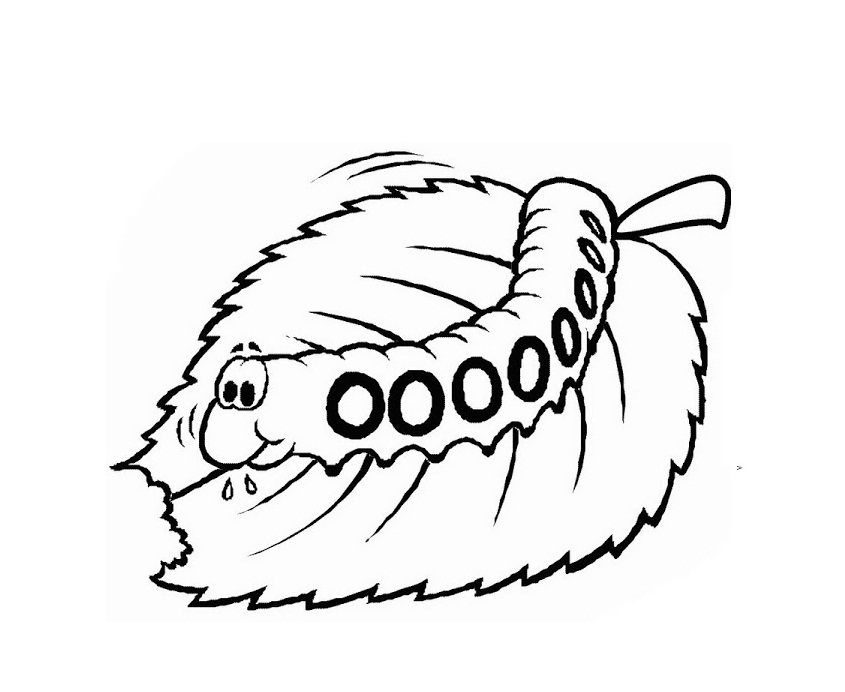 Printable Caterpillar Coloring Pages