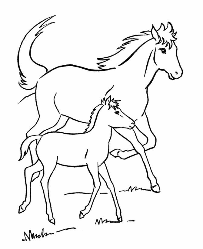 Printable Coloring Pages Horses