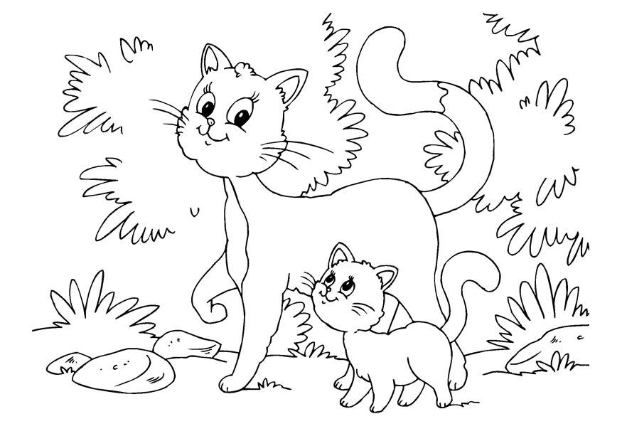 Featured image of post Kitty Cat Pictures To Color / A complex coloring page of a cat consisting of many elements.