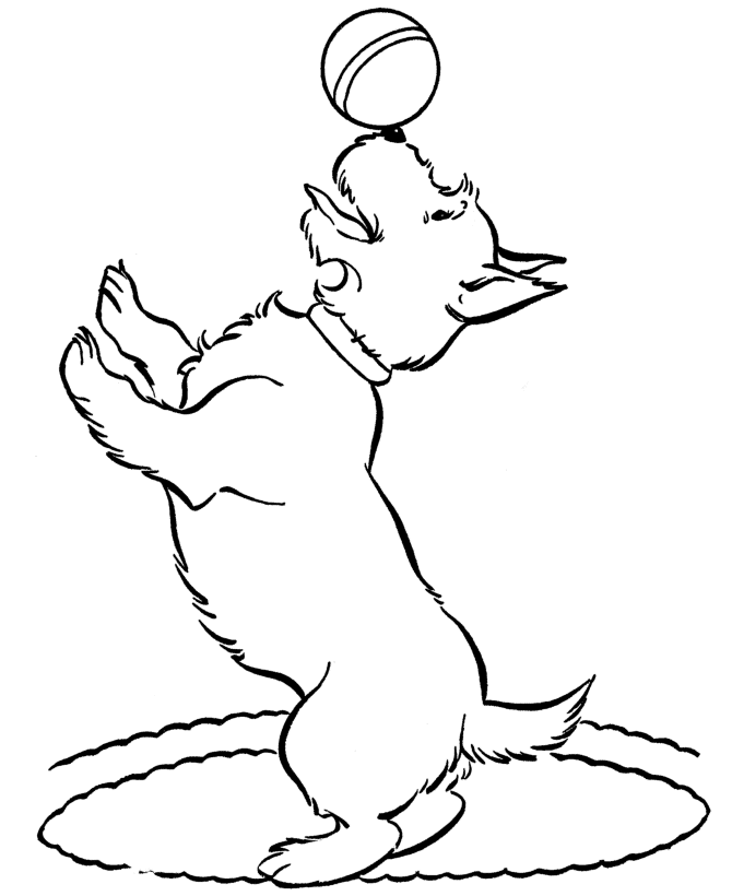 Printable Coloring Pages of Dogs