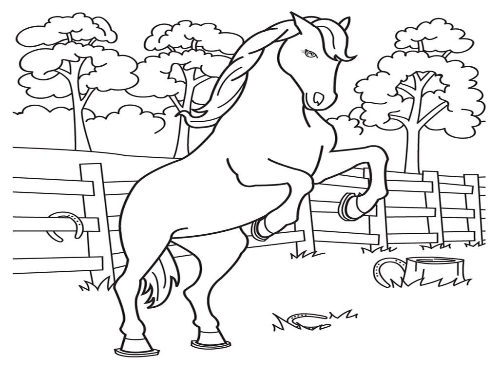 Cavalos para colorir in 2023  Horse drawings, Horse coloring pages, Easy  horse drawing