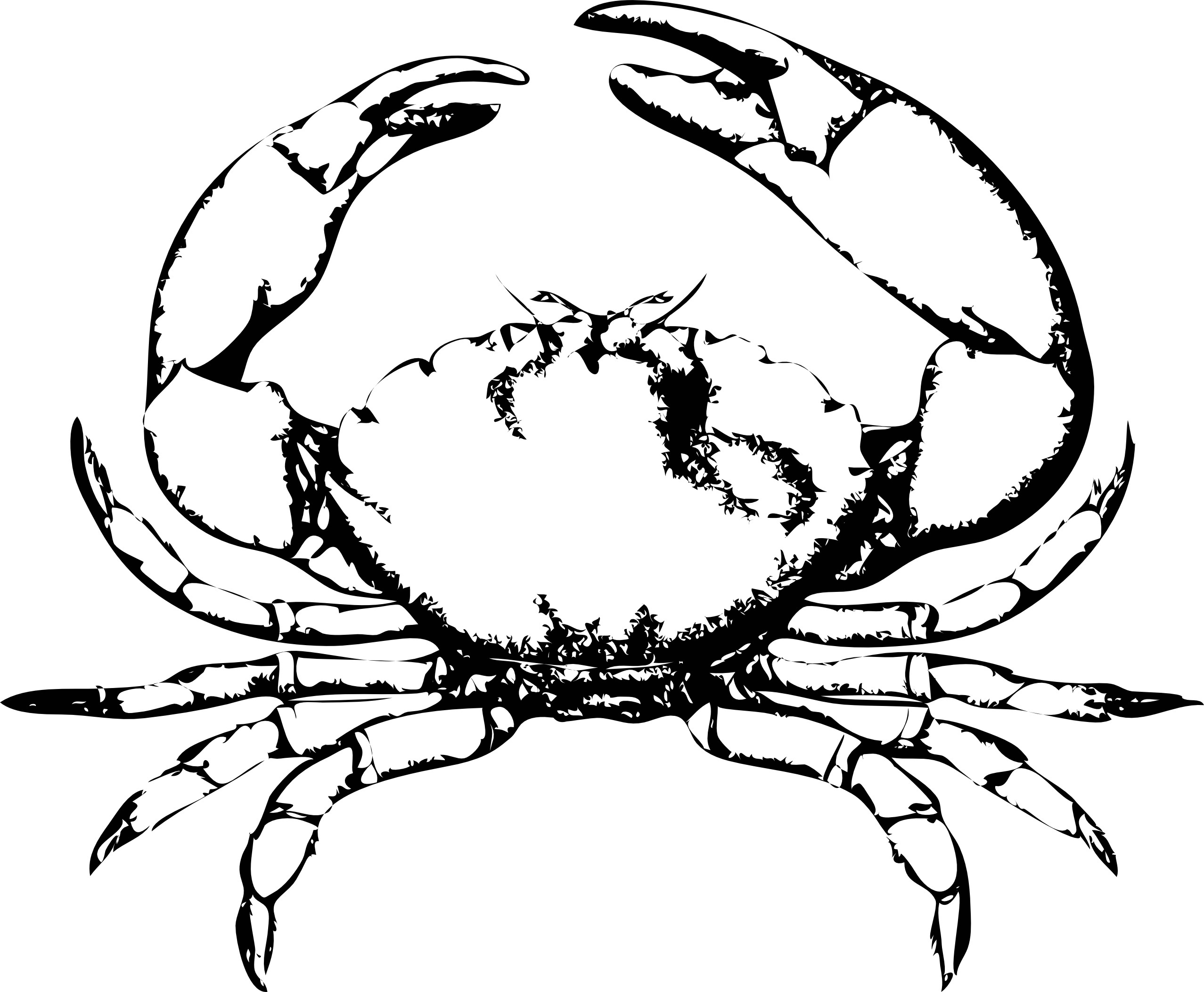 free-printable-crab-coloring-pages-for-kids