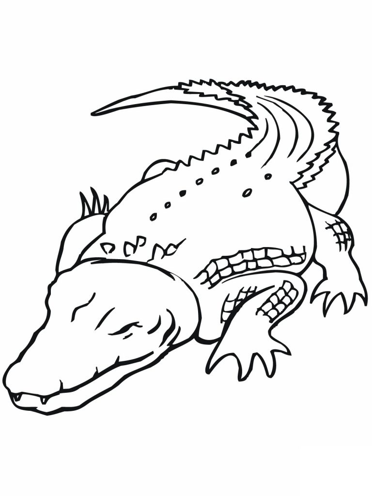 Printable Crocodile Coloring Pages