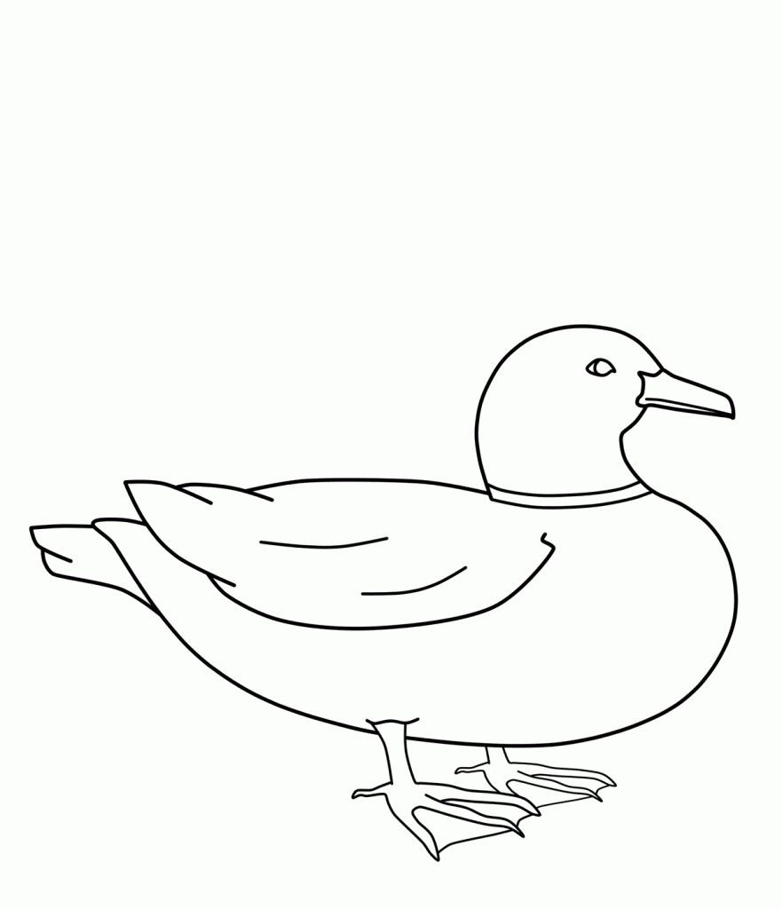 Printable Duck Coloring Pages For Kids