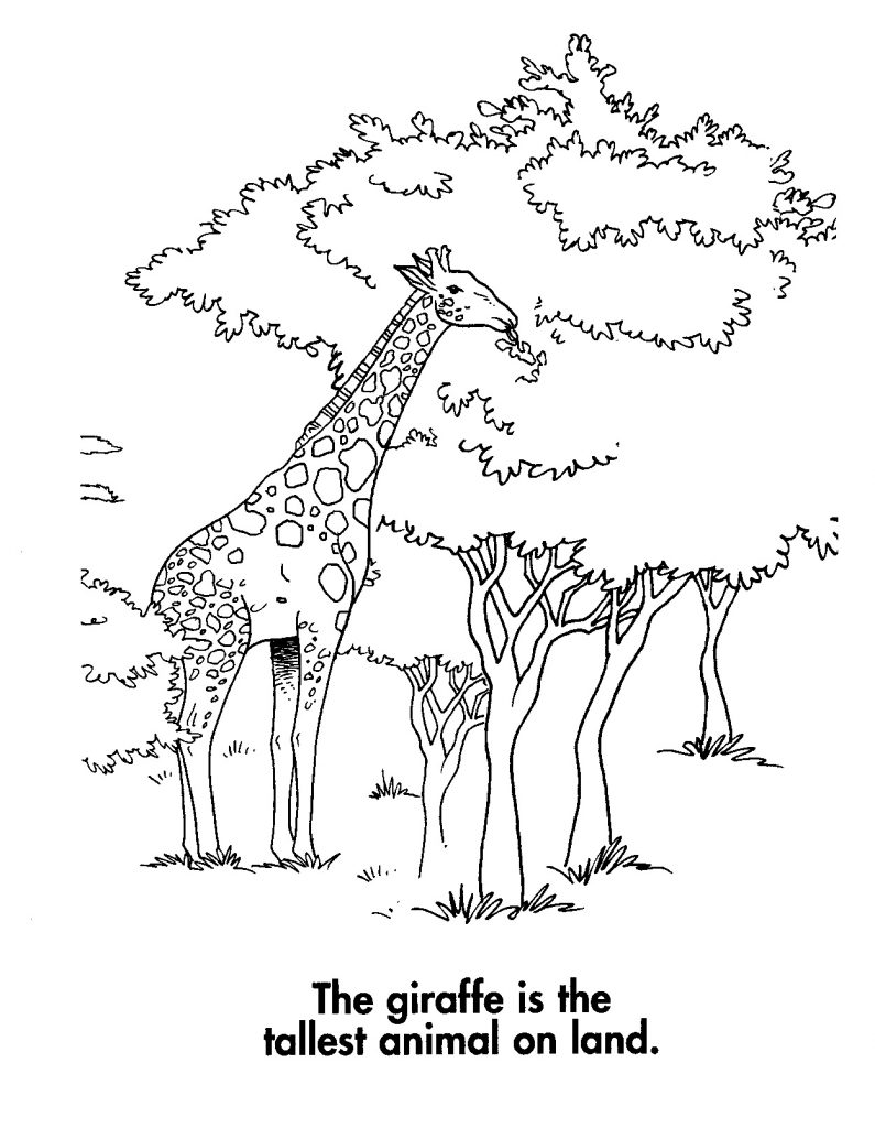 Printable Giraffe Coloring Pages