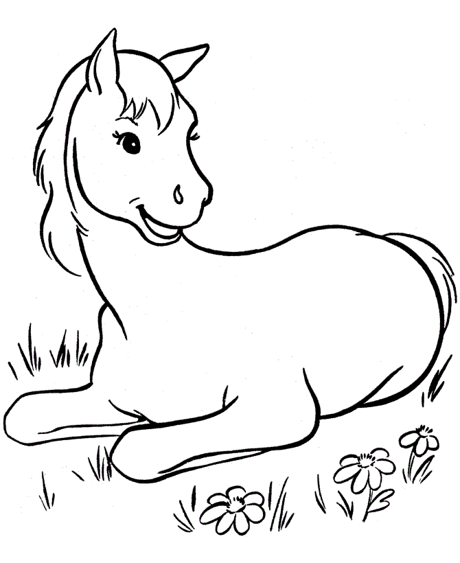 Printable Horse Coloring Pages