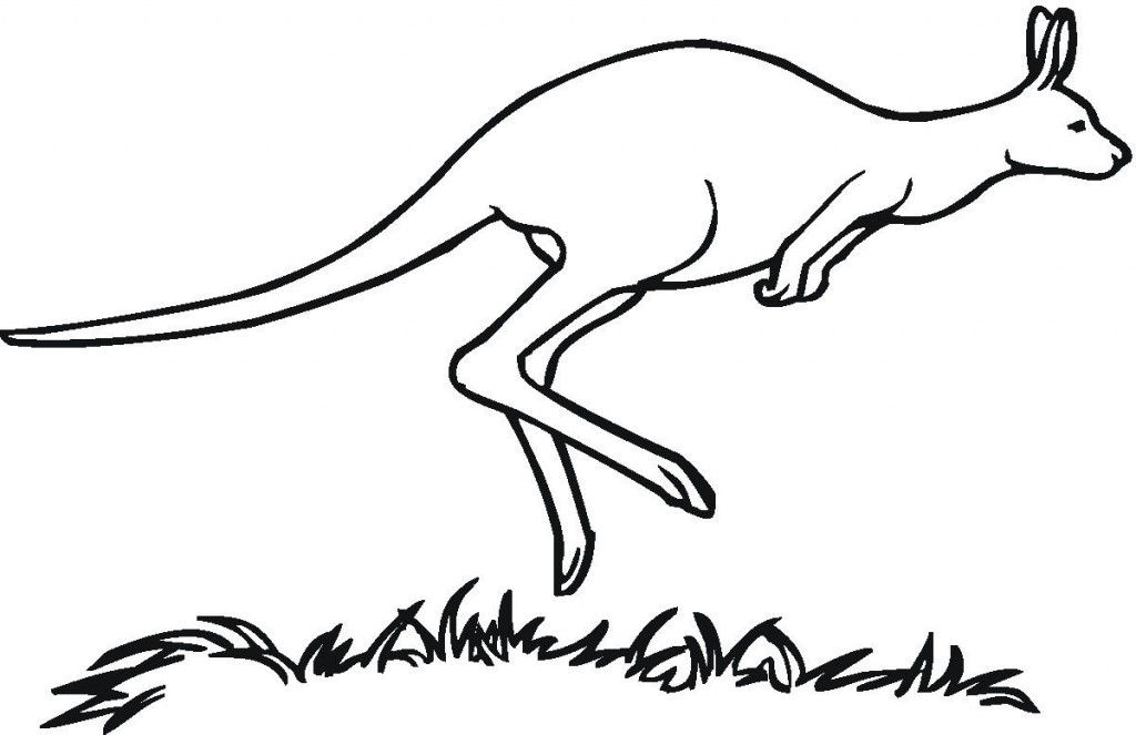 Printable Kangaroo Coloring Pages