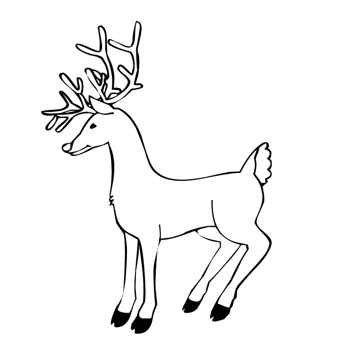 Printable Reindeer Coloring Pages For Kids
