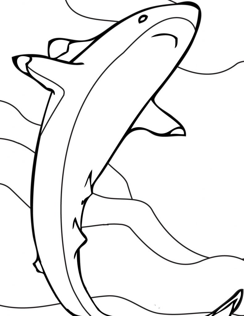 Printable Shark Coloring Pages