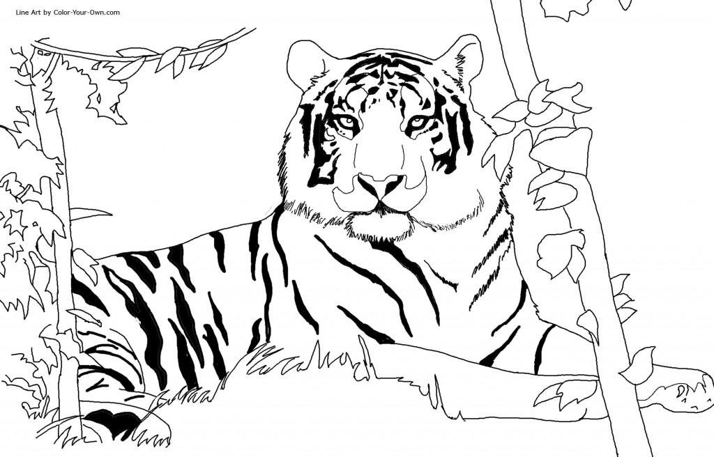 Printable Tiger Coloring Pages