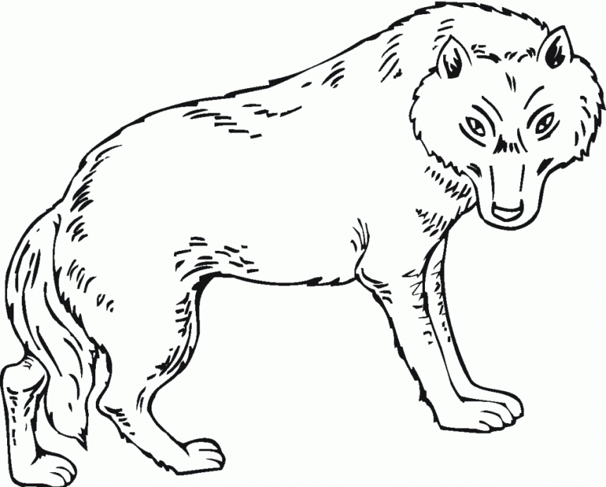 free-printable-wolf-coloring-pages-for-kids